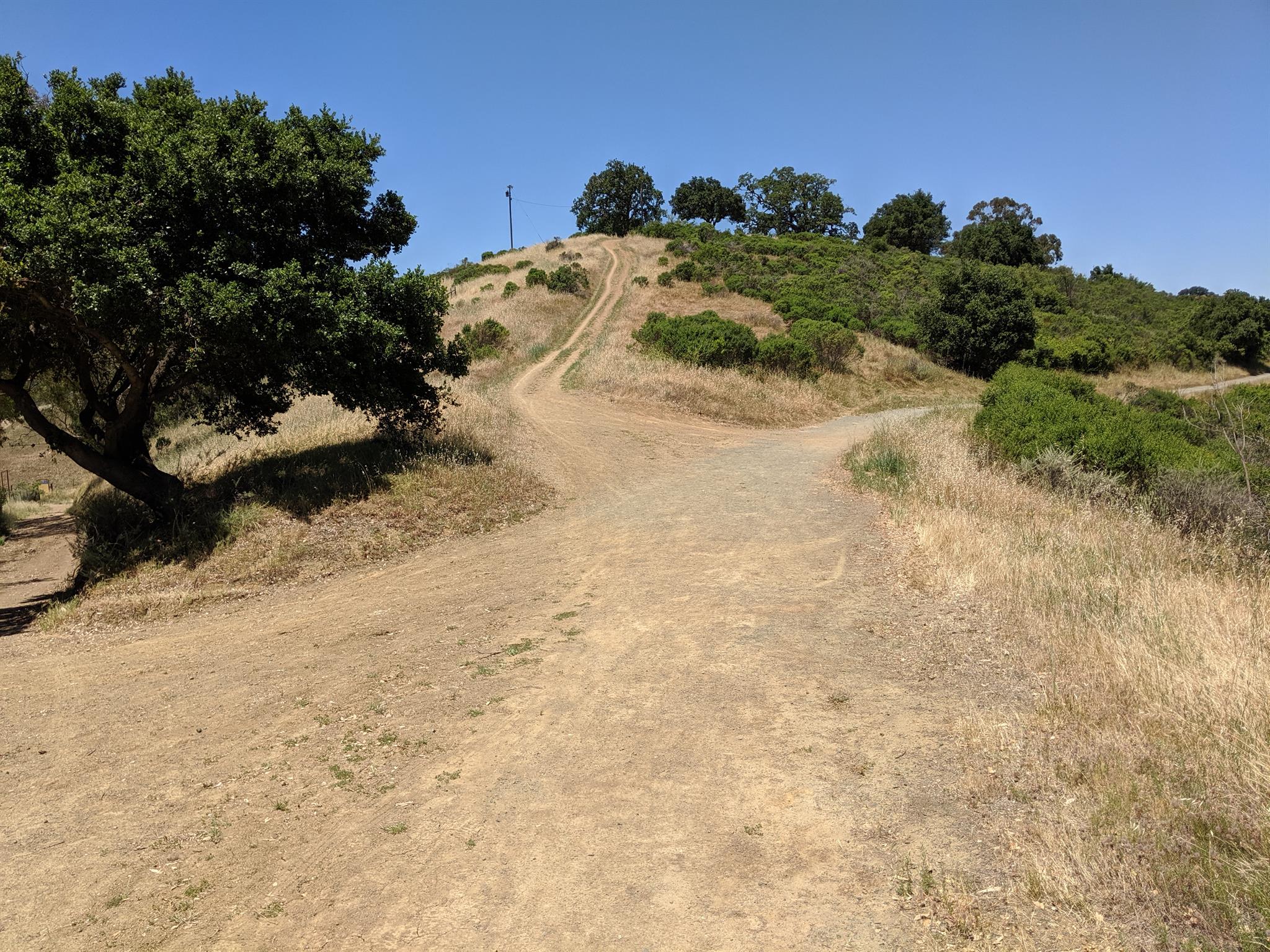 Nob Hill Peakbagger