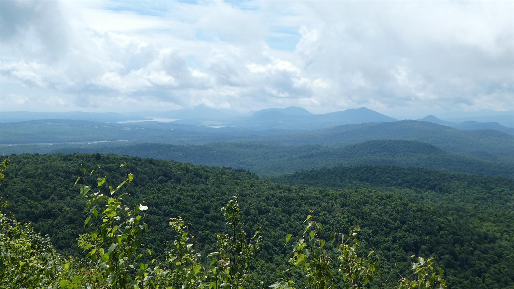 Canadian Green Mountains 