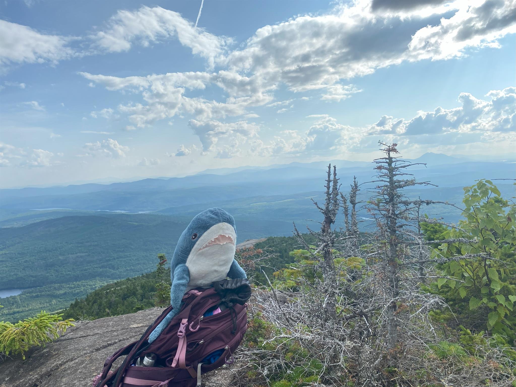 Moxie Mountain Peakbagger