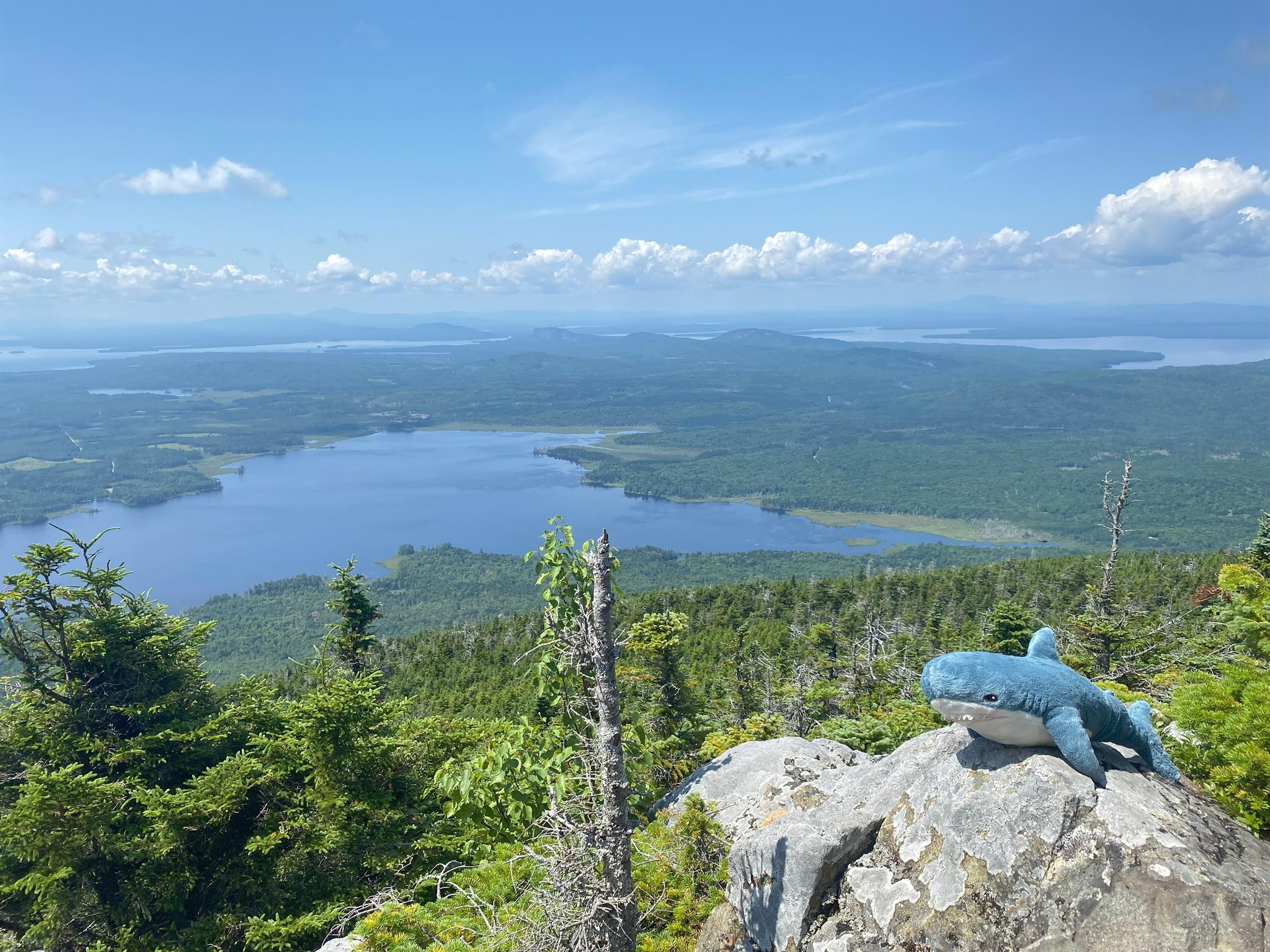 Little Spencer Mountain Peakbagger