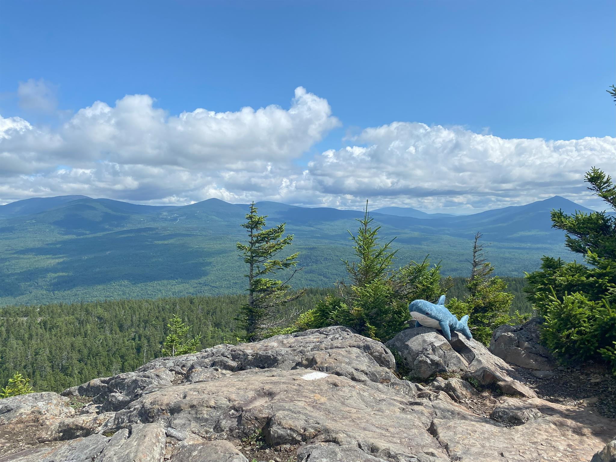 Saddleback Mountain Peakbagger