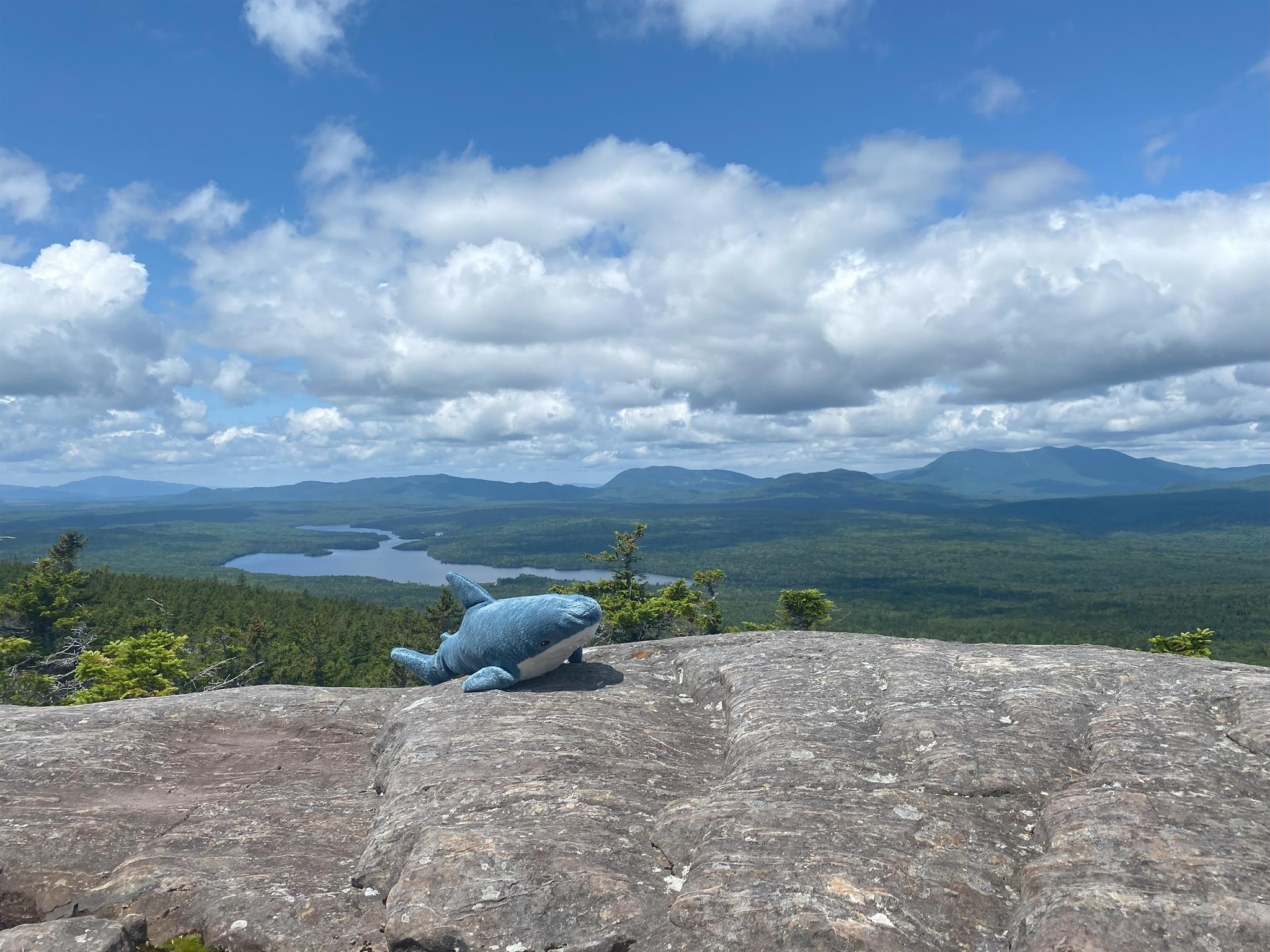 Third Mountain Peakbagger