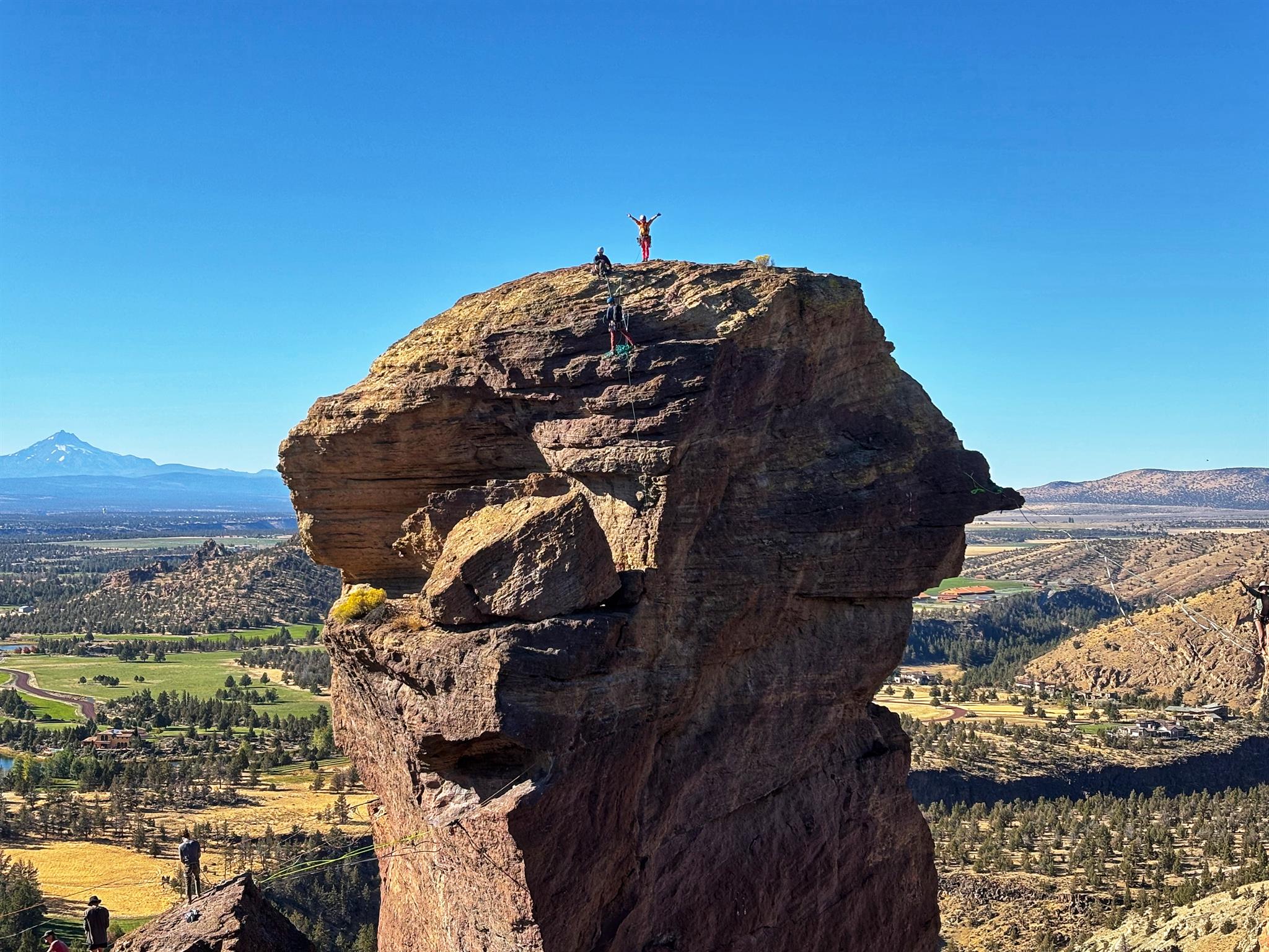 DEALER｜NATURAL MOUNTAIN MONKEYS