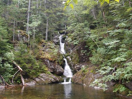 Click on photo for original larger-size version.